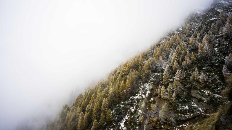 免费看剧网站-追剧不花钱品质不打折